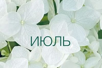 План мероприятий на июль План мероприятий на июль